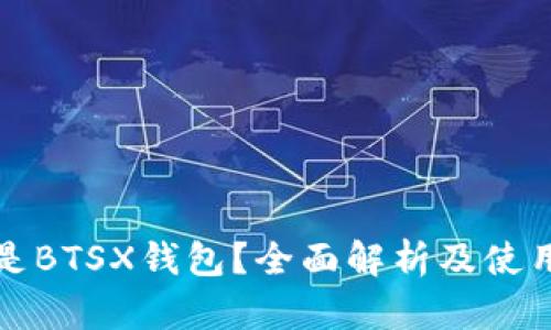 什么是BTSX钱包?全面解析及使用指南