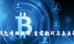 区块链钱包中的瓶颈：当前挑战与未来解决方案