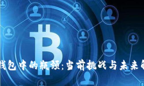区块链钱包中的瓶颈:当前挑战与未来解决方案