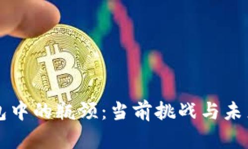区块链钱包中的瓶颈:当前挑战与未来解决方案