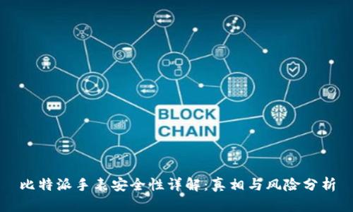 比特派手表安全性详解:真相与风险分析
