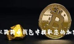 如何从狗狗币钱包中提取您的加密资产