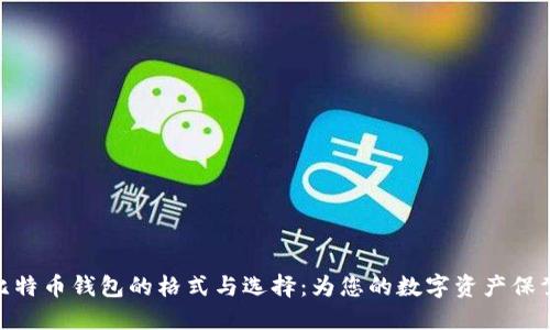 探索比特币钱包的格式与选择：为您的数字资产保驾护航