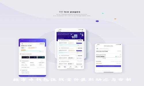 数字币钱包洗钱案件最新动态与分析