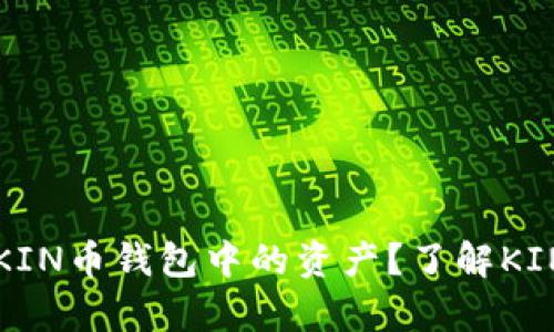 如何便捷地换算KIN币钱包中的资产?了解KIN币与法币的关系