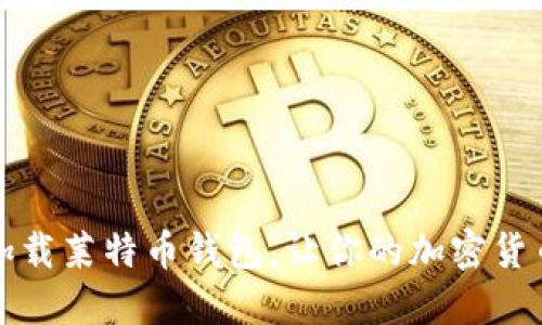 如何重新加载莱特币钱包,让你的加密货币安全无忧