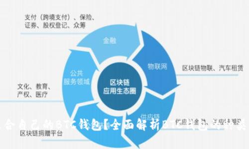 如何选择适合自己的BTC钱包?全面解析BTC钱包的种类与使用场景