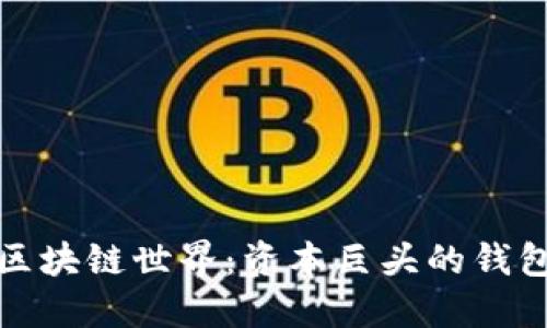 揭秘区块链世界:资本巨头的钱包地址
