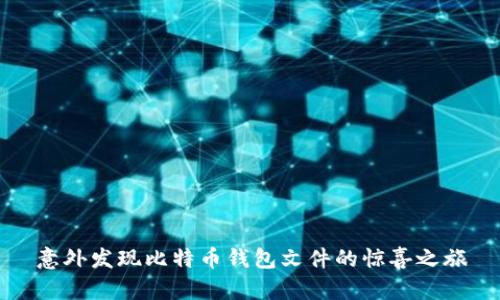 意外发现比特币钱包文件的惊喜之旅
