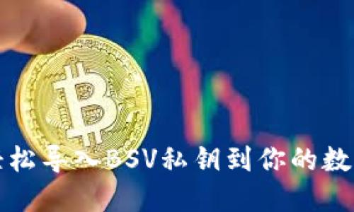 如何轻松导入BSV私钥到你的数字钱包