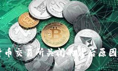 国内数字货币交易所关闭的背后原因与未来展望