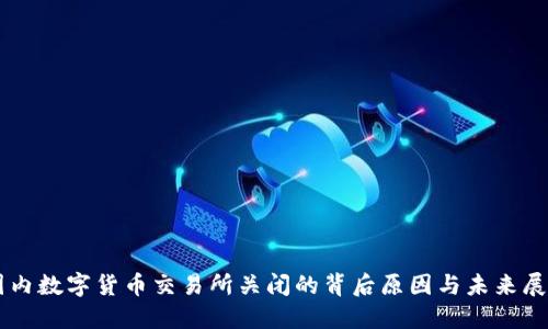 国内数字货币交易所关闭的背后原因与未来展望