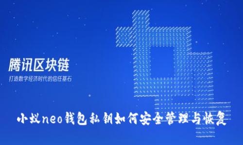 小蚁neo钱包私钥如何安全管理与恢复