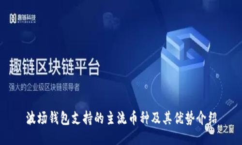 波场钱包支持的主流币种及其优势介绍