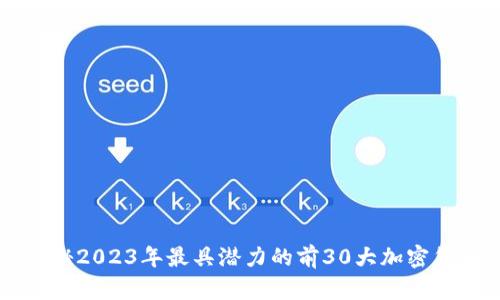 揭秘2023年最具潜力的前30大加密货币