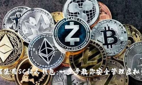 如何使用SC私人钱包:一步步教你安全管理虚拟资产