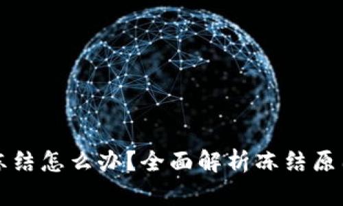 虚拟币账户冻结怎么办?全面解析冻结原因与解决方案
