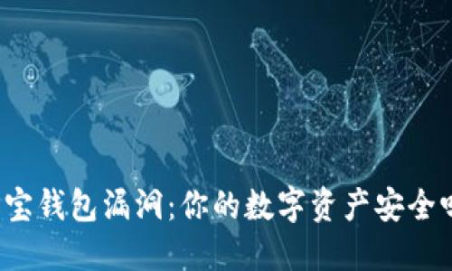 波宝钱包漏洞:你的数字资产安全吗?