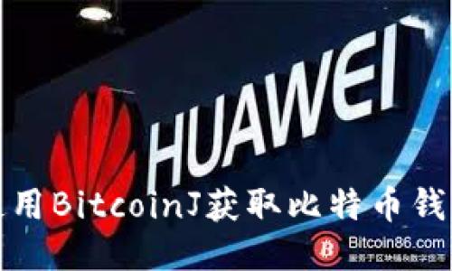 如何使用BitcoinJ获取比特币钱包余额