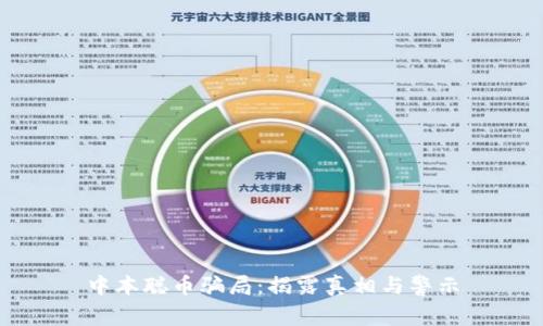 中本聪币骗局:揭露真相与警示