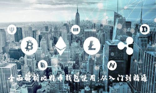 全面解析比特币钱包使用：从入门到精通