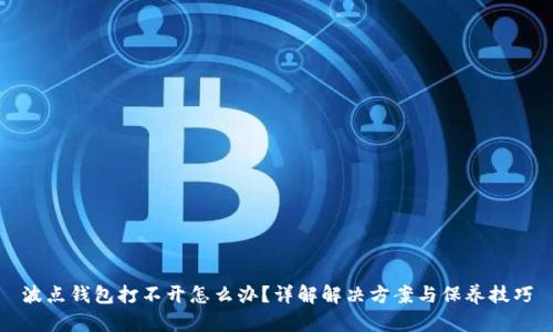 波点钱包打不开怎么办？详解解决方案与保养技巧