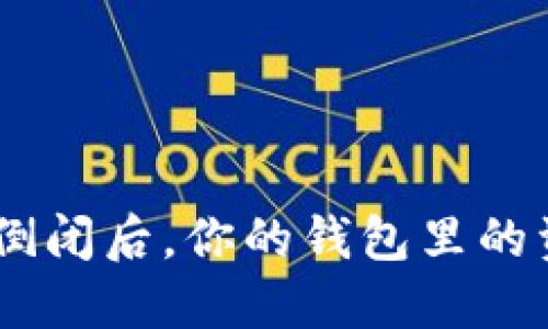 虚拟币钱包APP倒闭后,你的钱包里的资产该如何处理?