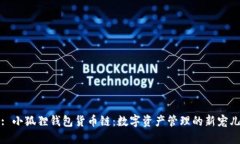 : 小狐狸钱包货币链：数字资产管理的新宠儿