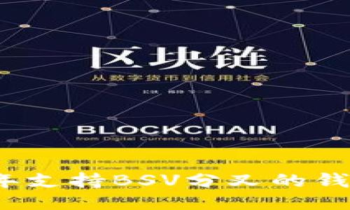 2023年支持BSV分叉的钱包推荐