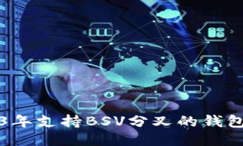 2023年支持BSV分叉的钱包推荐