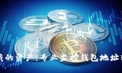 发现隐藏的资产：专业监控钱包地址软件推荐