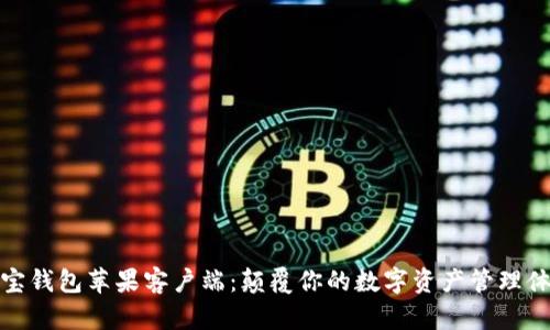 波宝钱包苹果客户端：颠覆你的数字资产管理体验