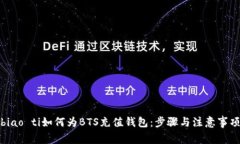 biao ti如何为BTS充值钱包：步骤与注意事项
