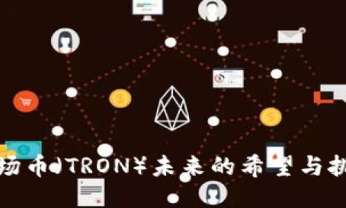 波场币（TRON）未来的希望与挑战