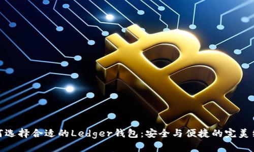 如何选择合适的Ledger钱包：安全与便捷的完美结合