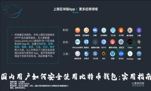 国内用户如何安全使用比特币钱包：实用指南