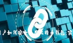 国内用户如何安全使用比特币钱包：实用指南
