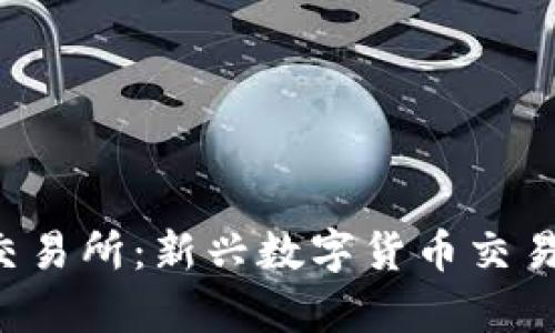 深入探讨BitePro交易所：新兴数字货币交易平台的潜力与前景