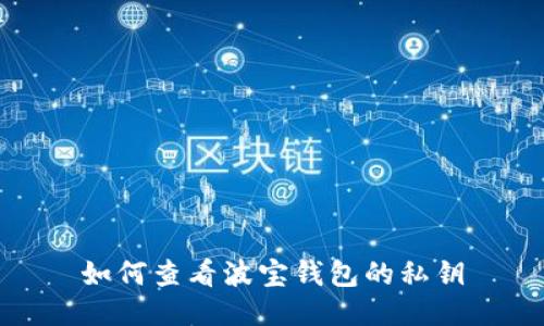 如何查看波宝钱包的私钥