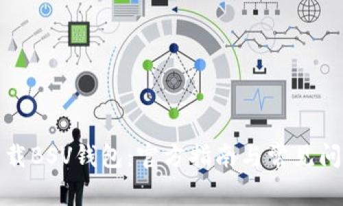 如何下载BSV钱包：官方指南与常见问题解答