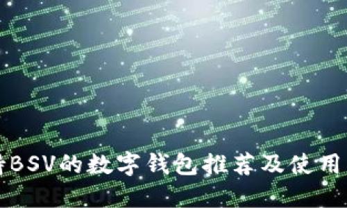 支持BSV的数字钱包推荐及使用指南