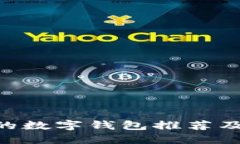 支持BSV的数字钱包推荐及使用指南