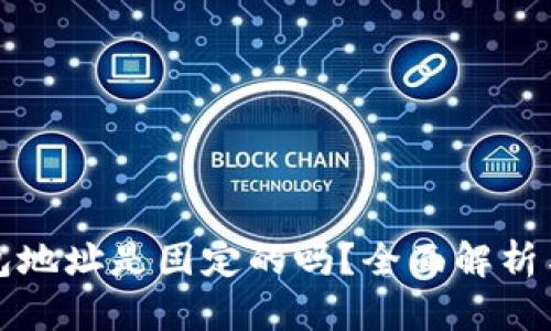 泰达币钱包地址是固定的吗？全面解析与使用指南