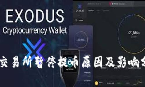 OK交易所暂停提币原因及影响分析