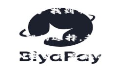 baioti新比特币钱包如何添加节点/baioti比特币钱包