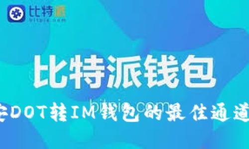  币安DOT转IM钱包的最佳通道指南