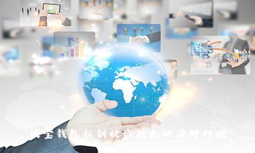 波宝钱包私钥被盗转走的应对措施